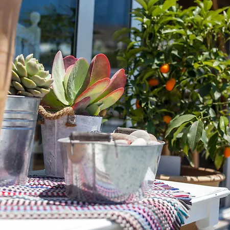 Tinas Plus Hotel Aparthotel Faliraki
