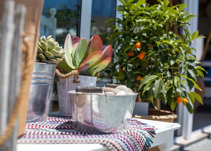 Tinas Plus Hotel Faliraki